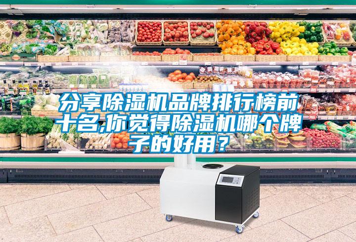 分享除濕機(jī)品牌排行榜前十名,你覺得除濕機(jī)哪個(gè)牌子的好用？