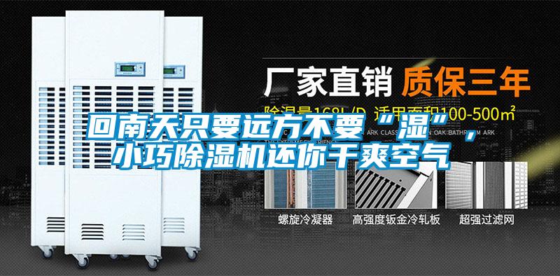 回南天只要遠(yuǎn)方不要“濕”，小巧除濕機(jī)還你干爽空氣