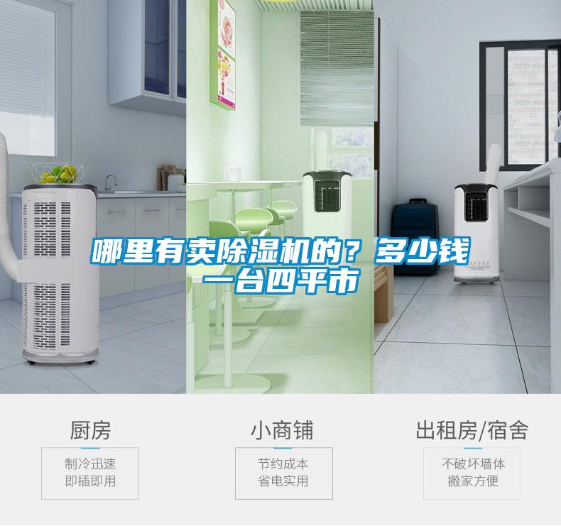 哪里有賣除濕機的?多少錢一臺四平市