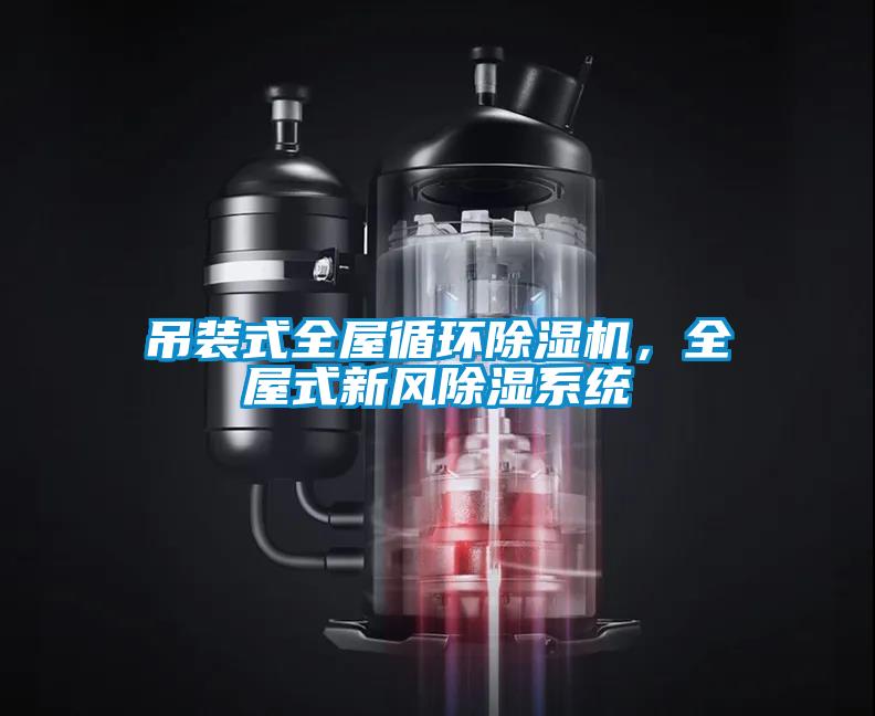吊裝式全屋循環(huán)除濕機，全屋式新風(fēng)除濕系統(tǒng)