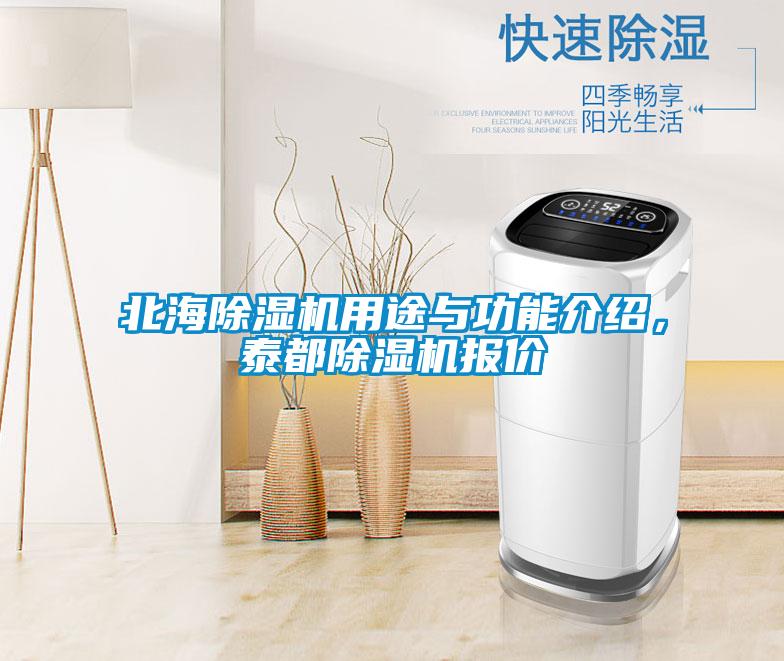 北海除濕機(jī)用途與功能介紹,泰都除濕機(jī)報(bào)價(jià)