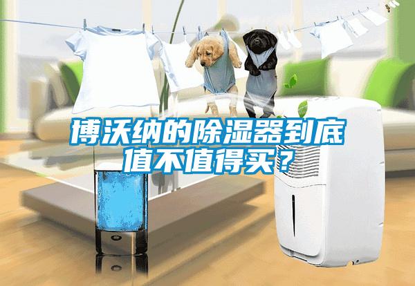 博沃納的除濕器到底值不值得買?