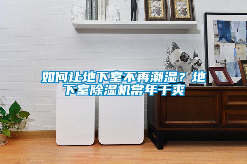 如何讓地下室不再潮濕？地下室除濕機常年干爽