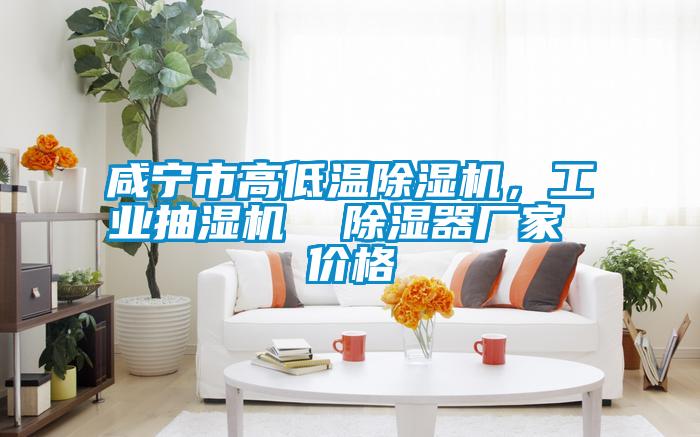 咸寧市高低溫除濕機(jī)，工業(yè)抽濕機(jī)  除濕器廠家 價格
