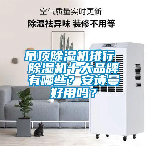吊頂除濕機排行 除濕機十大品牌有哪些？安詩曼好用嗎？