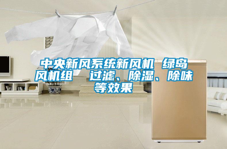 中央新風(fēng)系統(tǒng)新風(fēng)機(jī) 綠島風(fēng)機(jī)組  過濾、除濕、除味等效果
