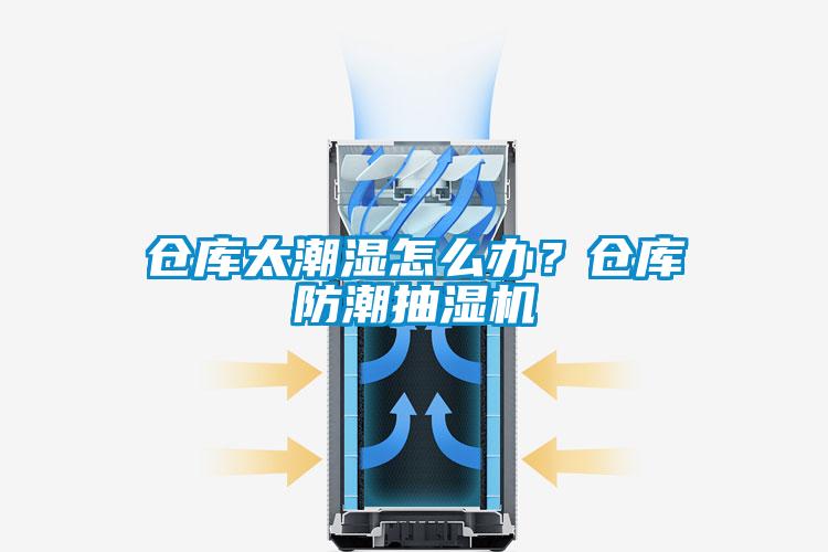 倉庫太潮濕怎么辦？倉庫防潮抽濕機