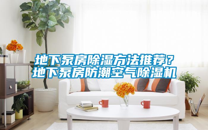 地下泵房除濕方法推薦?地下泵房防潮空氣除濕機