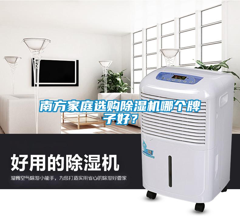 南方家庭選購除濕機哪個牌子好?