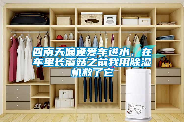 回南天偏逢愛車進水，在車里長蘑菇之前我用除濕機救了它