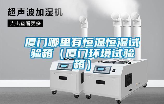 廈門(mén)哪里有恒溫恒濕試驗(yàn)箱(廈門(mén)環(huán)境試驗(yàn)箱)