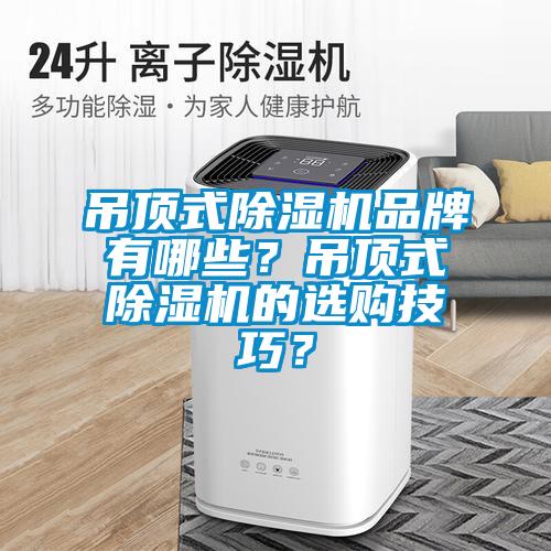 吊頂式除濕機品牌有哪些?吊頂式除濕機的選購技巧?