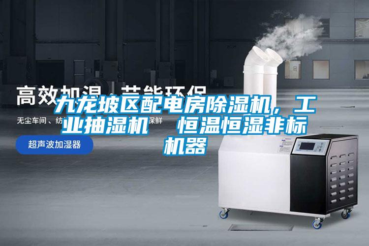 九龍坡區(qū)配電房除濕機，工業(yè)抽濕機  恒溫恒濕非標(biāo)機器