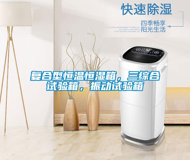 復(fù)合型恒溫恒濕箱，三綜合試驗(yàn)箱，振動試驗(yàn)箱