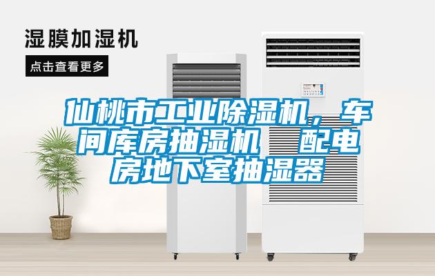 仙桃市工業除濕機，車間庫房抽濕機  配電房地下室抽濕器