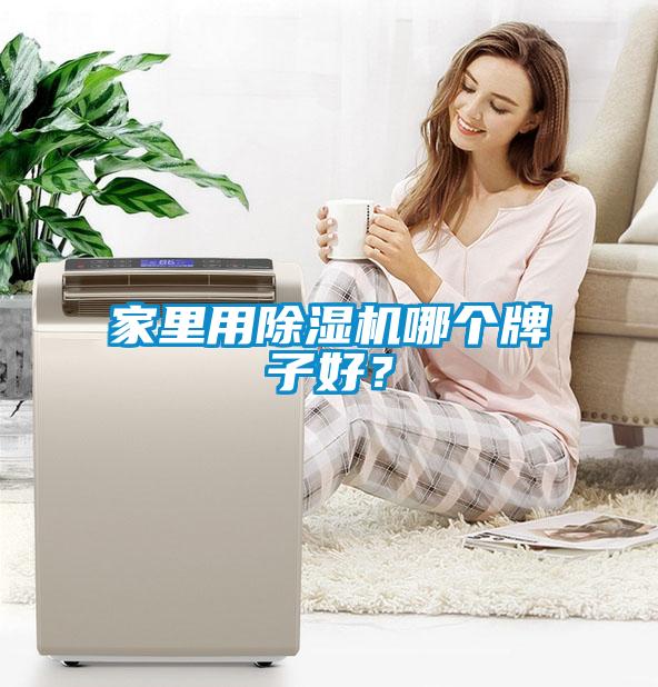 家里用除濕機哪個牌子好？