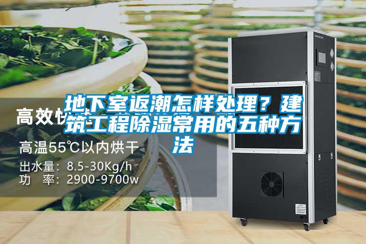 地下室返潮怎樣處理?建筑工程除濕常用的五種方法
