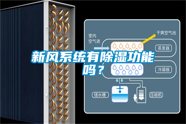 新風系統有除濕功能嗎？