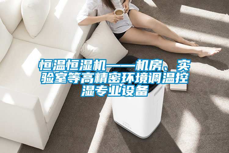 恒溫恒濕機——機房、實驗室等高精密環境調溫控濕專業設備