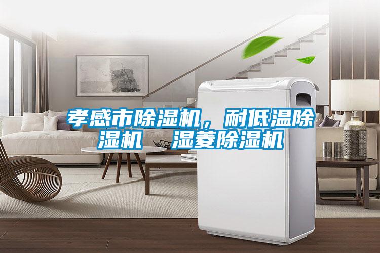 孝感市除濕機(jī)，耐低溫除濕機(jī)  濕菱除濕機(jī)