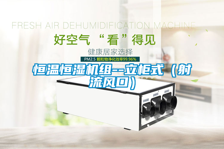 恒溫恒濕機組--立柜式(射流風口)
