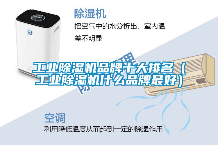 工業除濕機品牌十大排名(工業除濕機什么品牌最好)