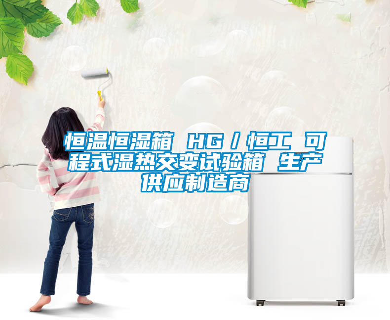 恒溫恒濕箱 HG/恒工 可程式濕熱交變試驗箱 生產供應制造商