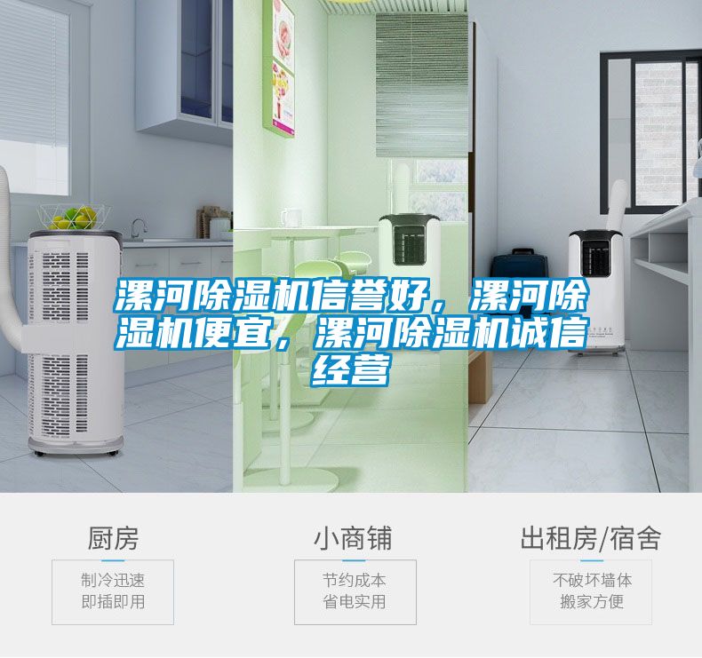 漯河除濕機信譽好，漯河除濕機便宜，漯河除濕機誠信經營