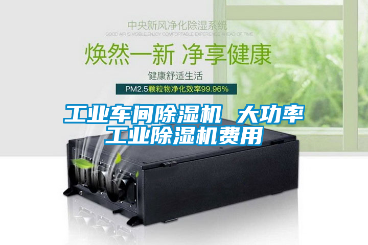 工業(yè)車間除濕機(jī) 大功率工業(yè)除濕機(jī)費用