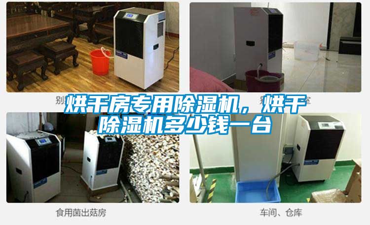 烘干房專用除濕機，烘干除濕機多少錢一臺