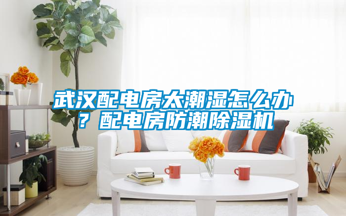 武漢配電房太潮濕怎么辦?配電房防潮除濕機(jī)