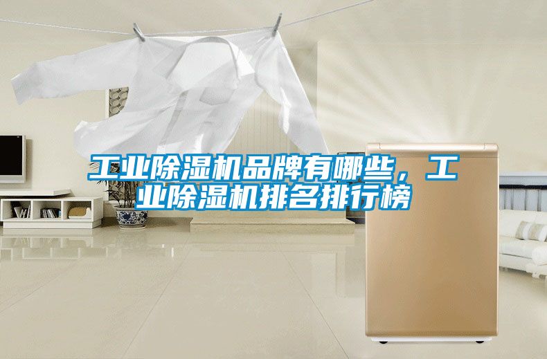 工業(yè)除濕機品牌有哪些，工業(yè)除濕機排名排行榜