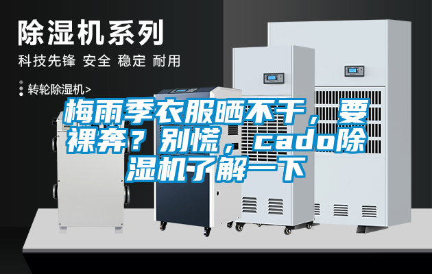 梅雨季衣服曬不干，要裸奔？別慌，cado除濕機了解一下