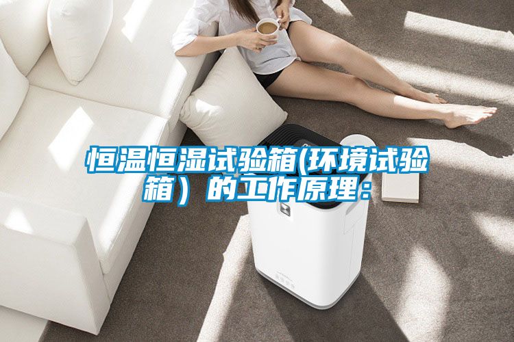 恒溫恒濕試驗箱(環境試驗箱)的工作原理: