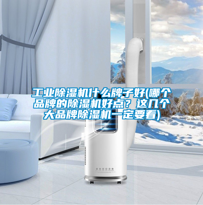 工業除濕機什么牌子好(哪個品牌的除濕機好點？這幾個大品牌除濕機一定要看)