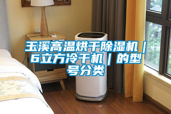 玉溪高溫烘干除濕機|6立方冷干機|的型號分類
