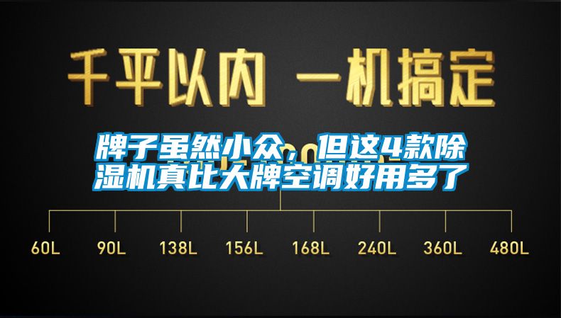 牌子雖然小眾，但這4款除濕機真比大牌空調好用多了