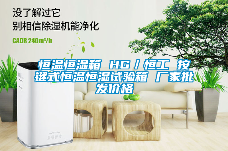 恒溫恒濕箱 HG/恒工 按鍵式恒溫恒濕試驗(yàn)箱 廠家批發(fā)價(jià)格
