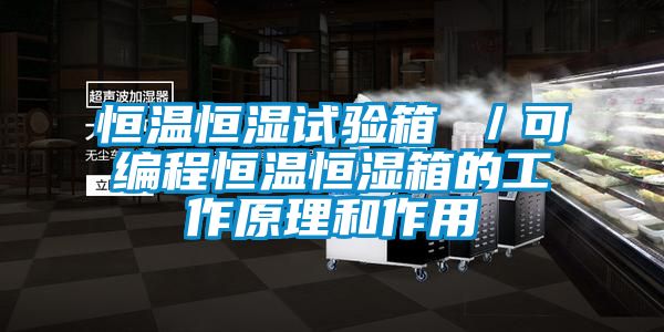 恒溫恒濕試驗(yàn)箱 /可編程恒溫恒濕箱的工作原理和作用