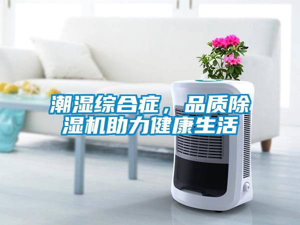 潮濕綜合癥，品質除濕機助力健康生活