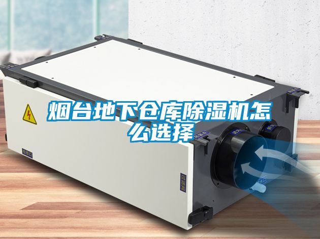 煙臺地下倉庫除濕機怎么選擇