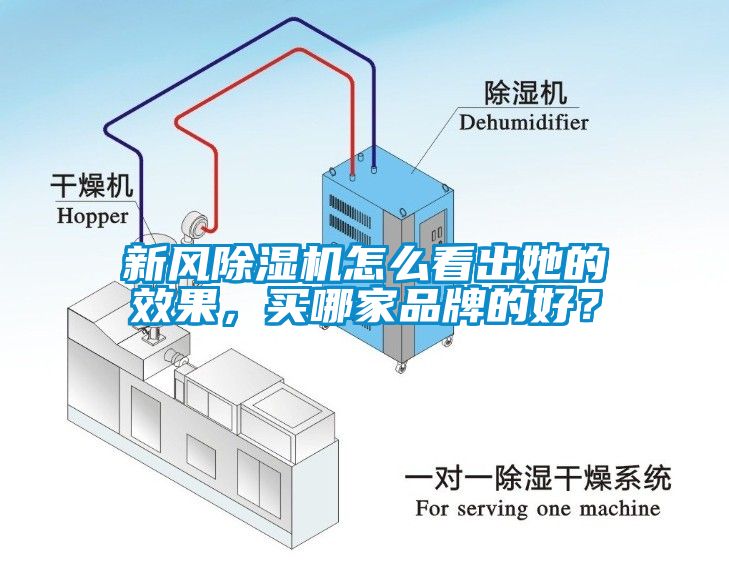 新風除濕機怎么看出她的效果，買哪家品牌的好？