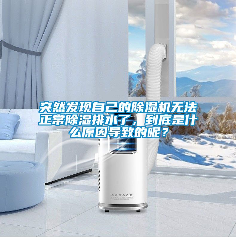 突然發現自己的除濕機無法正常除濕排水了,到底是什么原因導致的呢?