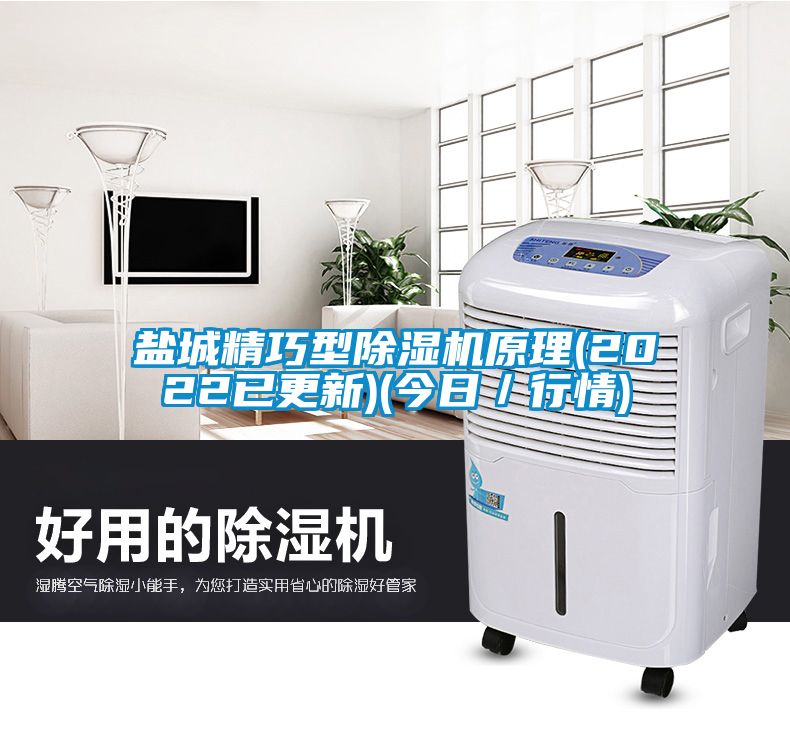 鹽城精巧型除濕機原理(2022已更新)(今日/行情)