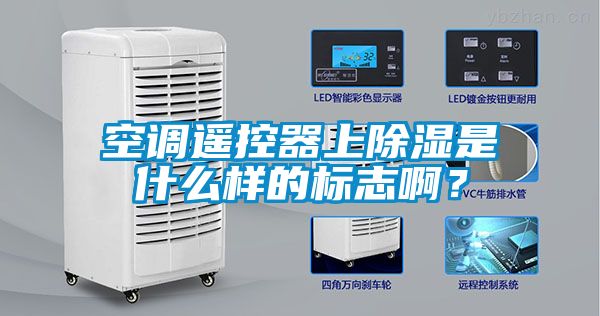 空調遙控器上除濕是什么樣的標志啊?