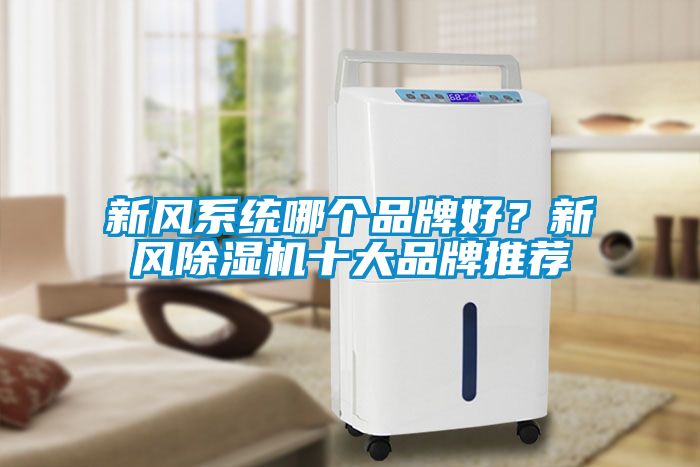 新風系統(tǒng)哪個品牌好？新風除濕機十大品牌推薦