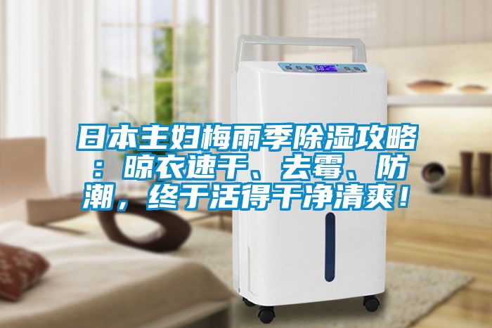 日本主婦梅雨季除濕攻略:晾衣速干、去霉、防潮,終于活得干凈清爽!