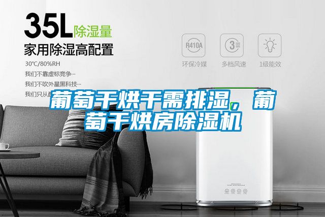 葡萄干烘干需排濕，葡萄干烘房除濕機(jī)