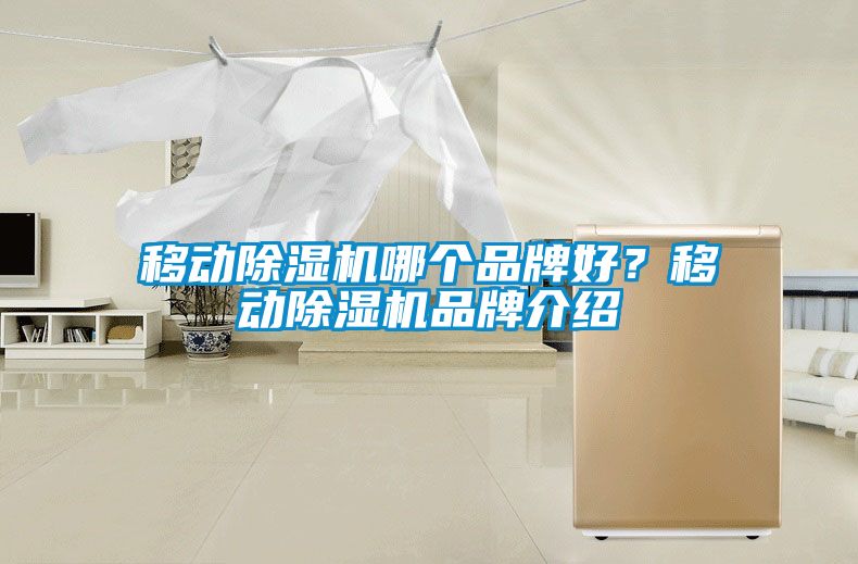 移動除濕機哪個品牌好?移動除濕機品牌介紹