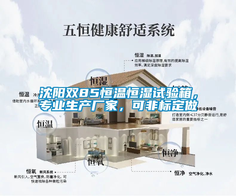 沈陽雙85恒溫恒濕試驗箱，專業生產廠家，可非標定做